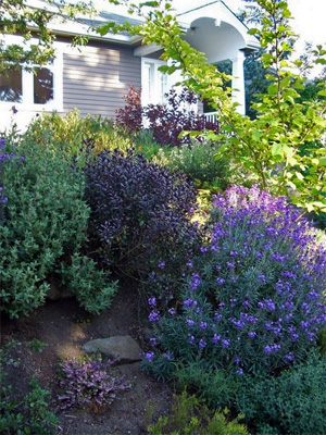 sloped front yard landscaping pictures. on the slope in front of