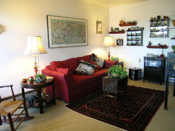 07living-room (11)