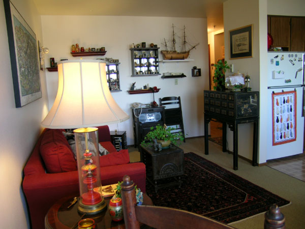 07living-room (12)