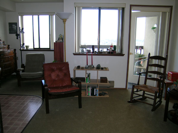07living-room (13)