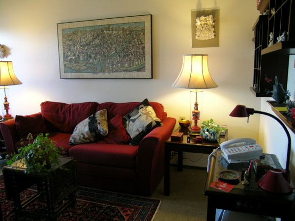 07living-room (5)