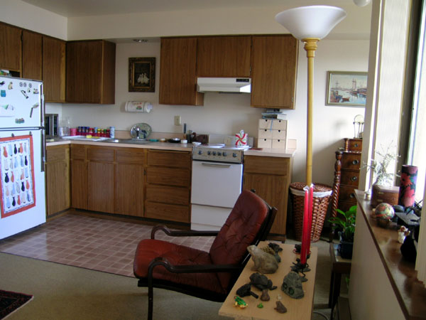 09kitchen (2)